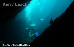 Dive Site Elephant Head Rock