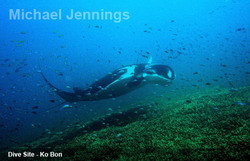 Dive Site Koh Bon